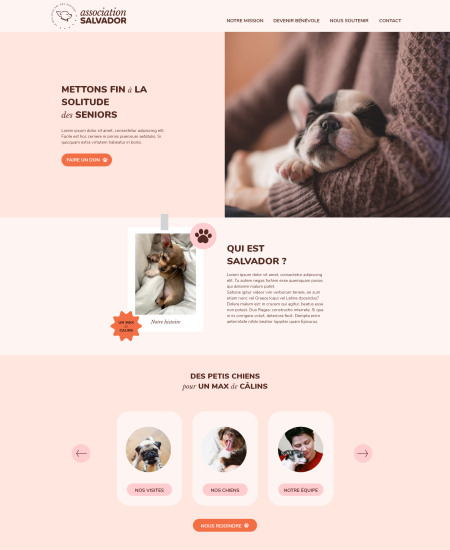 Maquette-web-association-salvador